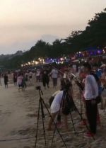 网络主播扎堆海滩强行跟拍游客，三亚出拳整治 - 海南新闻中心