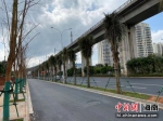 海口龙昆南延长线改造主线完工通车 纾解城市内涝 - 海南新闻中心