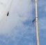 有人在海口石山镇玉风水库边捕鸟：4张网 10米高 - 海南新闻中心