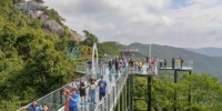 图为近日，游客在三亚亚龙湾热带天堂森林公园内游览。　洪坚鹏 摄 - 中新网海南频道