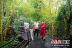 游客正在雨林谷游览 陈典/图 - 中新网海南频道
