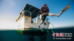 蜈支洲岛潜水培训课程上线 - 中新网海南频道