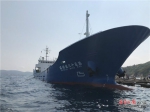 海南今年首批出口鱼苗装船出海 - 中新网海南频道