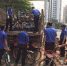 龙华区整治共享单车“三乱”问题 一周暂扣超11000辆 - 海南新闻中心