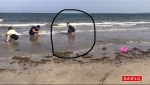 在文昌白金海岸沙滩上勇救落水儿童的小伙找到啦 就是他！ - 海南新闻中心