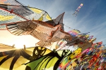 带上风筝去撒欢，半岛首届风筝文化节即将盛大启幕 - 海南新闻中心