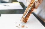 中国热科院生物所研究人员刮下结香木材的黑色油脂，为鉴定样品的真伪做准备。 - 中新网海南频道