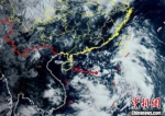 南海热带低压7月31日可能生成位置及移动方向示意图。海南省气象局 供图 - 中新网海南频道