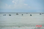 南海伏季休渔结束 海南相关部门使用“北斗”提示商渔船避碰 - 中新网海南频道