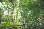 海南热带雨林国家公园体制试点看点多——绿染山川千层翠 - 海南新闻中心