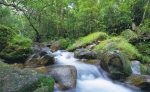 海南热带雨林国家公园体制试点区吊罗山林区的一处溪流，该林区其蕴藏的水资源是海南三大林区之首。 - 中新网海南频道
