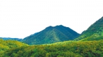 　海南热带雨林国家公园体制试点区五指山林区。本报记者 李天平 摄 - 中新网海南频道