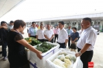 海口菜篮子江楠批发市场运营首周交易量破万吨 部分菜价降新低 - 海南新闻中心