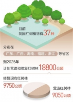 红树林保护有了“路线图” - 中新网海南频道