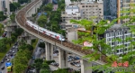 发班密度增加的市域列车让市民出行更加便捷。记者 苏弼坤 摄 - 中新网海南频道