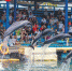 2020年4月22日，陵水黎族自治县分界洲岛，游客观赏海豚跳跃。童国强 摄 - 中新网海南频道