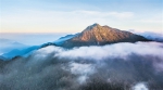 走进国家公园 探访热带雨林 | 走进海南黎母山：护好青山掘绿金 - 海南新闻中心