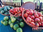 琼海举办中国农民丰收节庆祝活动 - 中新网海南频道