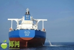 31.9万吨！最大载重吨中国籍船舶入列“中国洋浦港” - 海南新闻中心