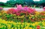 万绿园，鲜花盛开，节日氛围浓郁。记者 汪承贤 摄 - 中新网海南频道