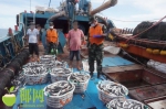 海南：两艘不明船只跨海区非法捕捞渔获物近16万斤，29人被抓获 - 海南新闻中心