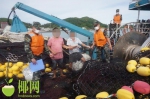 海南：两艘不明船只跨海区非法捕捞渔获物近16万斤，29人被抓获 - 海南新闻中心