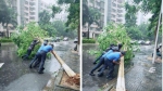 海口美兰区部署防御台风“浪卡” - 海南新闻中心