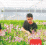东方市板桥镇：扶贫兰花朵朵开 - 海南新闻中心