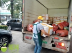 调运储备蔬菜应对台风 海口多举措守护市民“菜篮子” - 海南新闻中心