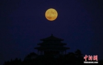 　资料图：在北京北海公园拍摄的月亮升起。中新社记者 杜洋 摄 - 中新网海南频道