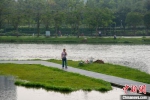 市民在海口美舍河凤翔湿地公园休闲。凌楠 摄 - 中新网海南频道