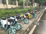 海南省工业学校门口，摆放有序的共享电单车。 本报记者 叶媛媛 摄 - 海南新闻中心