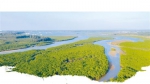 俯瞰海南新盈红树林国家湿地公园。 袁琛 摄 - 中新网海南频道
