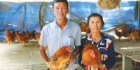 屯昌县南吕镇落根村的脱贫村民陈有英和妻子在展示自家养殖的鸡。方山 摄 - 中新网海南频道