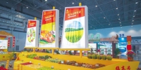 2020年中国(海南)国际热带农产品冬季交易会临高展台。阮琛 摄 - 中新网海南频道