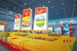 2020年中国(海南)国际热带农产品冬季交易会临高展台。阮琛 摄 - 中新网海南频道