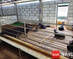 一畜牧公司拖欠农民工工钱 法官帮卖480只羊还债 - 海南新闻中心