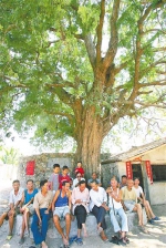 在琼南地区，村民们喜欢在酸豆树下休息。 海南日报记者 张杰 摄 - 中新网海南频道