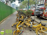 共享单车“霸道”，海口市民诉苦出行难！3家共享单车负责人已被约谈 - 海南新闻中心