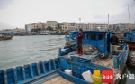 “活”在海口闹市里的老渔村 - 中新网海南频道