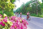 在万宁滨海旅游公路，骑行爱好者在骑行。袁琛 摄 - 中新网海南频道