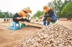 　工人从探方沙土中筛出贝壳、陶片、兽骨、石器并进行初步分类。武威 摄 - 中新网海南频道
