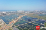 G15沈海高速公路海口段项目移动模架箱梁顺利完成首次浇筑 - 海南新闻中心