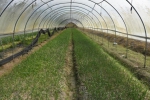 海口美兰：有机肥送下乡 助力农业生产 - 海南新闻中心