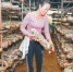 2020年12月9日，在琼中恒辉农民种养专业合作社内，种植户在采收香菇。本报记者 李天平 摄 - 中新网海南频道