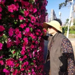 美美哒！ 朵朵鲜花扮靓东方 - 海南新闻中心