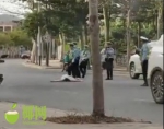 事发三亚！一女子穿拖鞋开车不服交警处罚 仰躺道路中央...... - 海南新闻中心