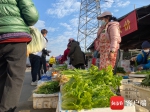 海南蔬菜价格已连续15天环比下降 业内专家：外地菜农就地过年极大提高蔬菜供给 - 海南新闻中心