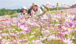 游客在昌江红林农场十二队花卉基地游玩。陈元才 摄 - 中新网海南频道