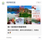 昌化江畔木棉红，近2000万人线上线下共赴一场春天的木棉之约 - 海南新闻中心